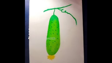 Cucumber drawing Step by step #foryou #cucumber #drawing #viralshort