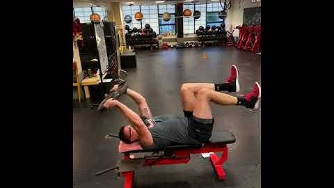 Dead Bug With Plate on Bench