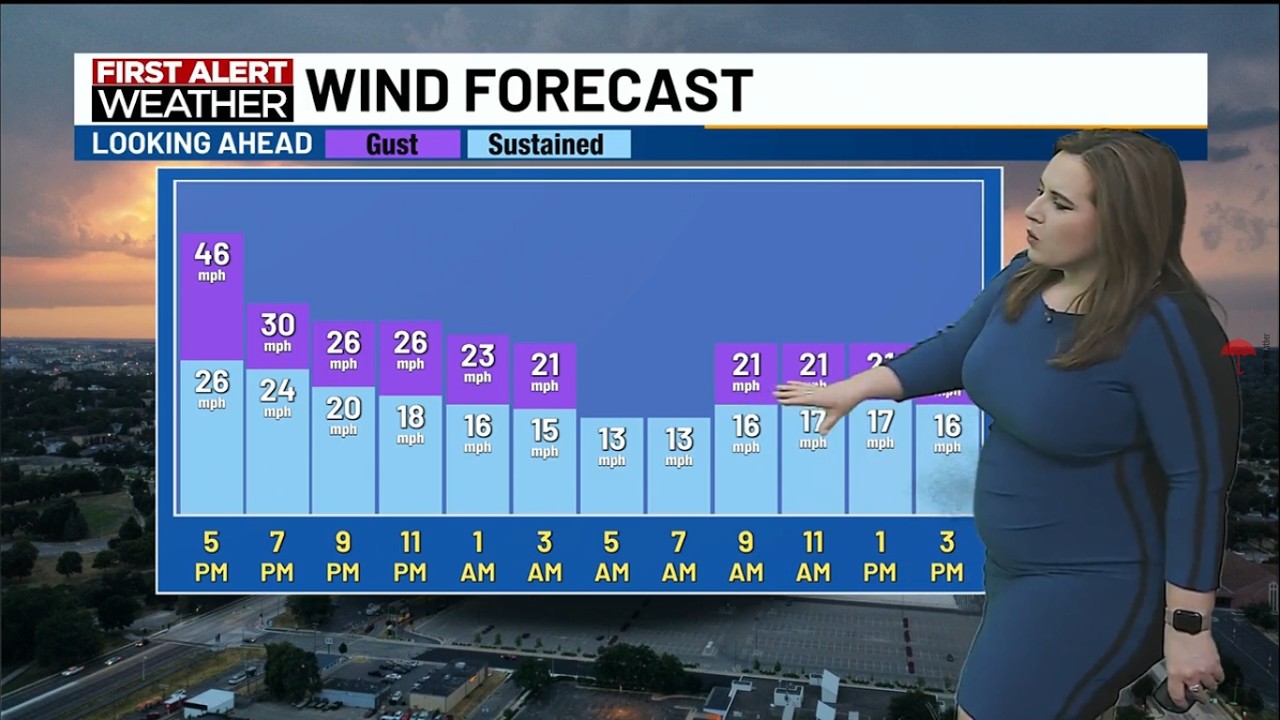 Sarah Rochester Sarah Gannon | Rochester, MN Weather Report - YouTube