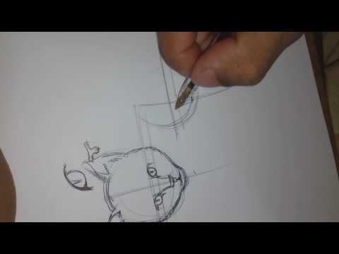 COMO APRENDER A DESENHAR MANGA 02 GATO