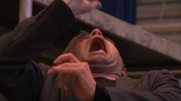 Domains of Joyful Degradation Teaser