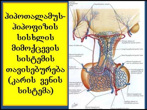 ჰიპოთალამუს ჰიპოფიზის პათოლოგია ნაწილი 1