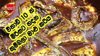 කුම්බලා මාළු මිරිසට හදමු - Malu Curry Recipe | Malu Curry Sinhala | Kumbala Malu Mirisata | Malu
