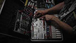 babayard buchla 04