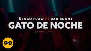 Ñengo Flow, Bad Bunny - Gato De Noche (Video Lyric)