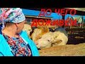 ❗️❗️❗️ЭТО ВОЛНУЕТ КАЖДОГО! СМОТРИМ,ОБСУЖДАЕМ! ЖЁСТКИЕ МЕРЫ