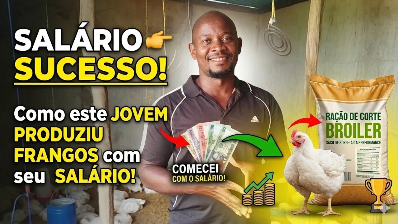Ele Começou do Zero e Hoje Produz Frangos Sustentáveis  @PequenoProdutordeMoçambique85 