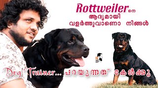 Rottweiler കൊലയാളി ആണോ?? Rottweiler Dog Malayalam ||