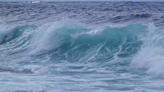 Video Background Stock Footage Free (Big sea wave in slow motion )