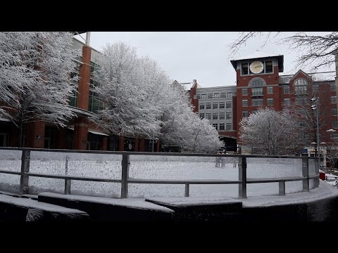 snowy rockville town center