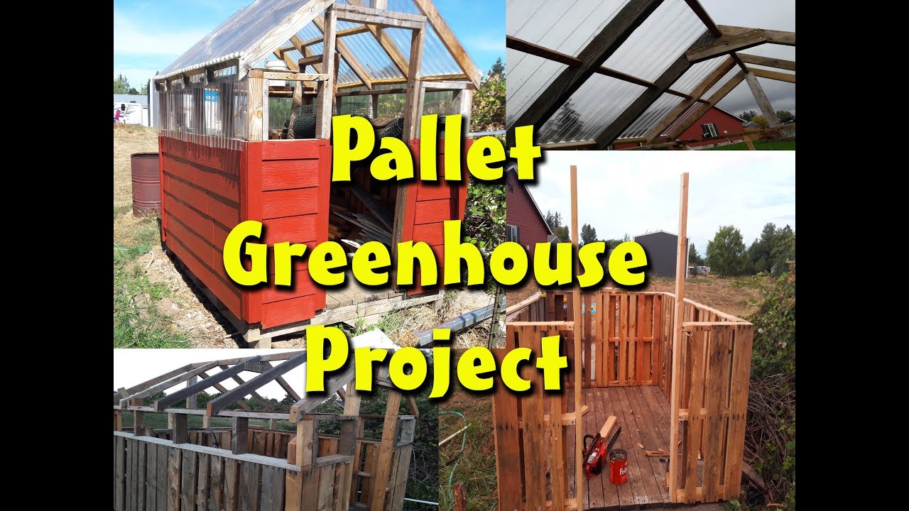 Greenhouse Built with free pallets.