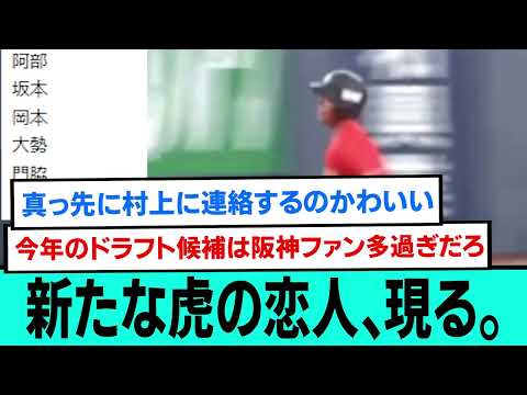 新たな虎の恋人、現る。【阪神タイガース/プロ野球/なんJ反応まとめ・ 2chスレ・5chスレまとめ/VOICEVOX/読売ジャイアンツ/巨人/佐々木俊輔】