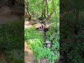 Успокойся и умиротворение