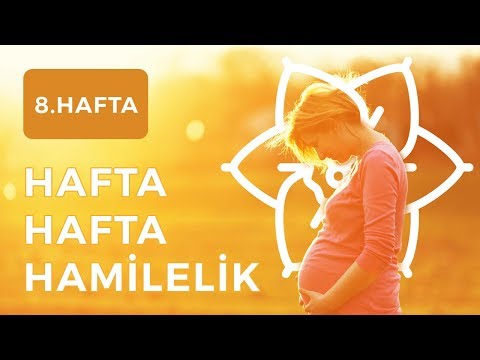 Video: 8 Haftalık Hamilelik: Açıklama, Duyumlar, Fetal Gelişim