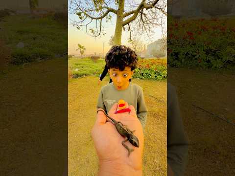 مش حتصدق الحربايه الشقيه عملت ايه واحناينصور