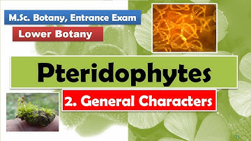 Pteridophytes | General Characters