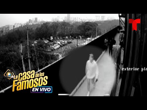 Incertidumbre por el escape de Thalí García | La Casa de los Famosos 4 | Telemundo Entretenimiento