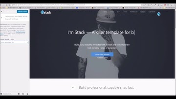 Stack WordPress Theme - Header & Footer Overrides