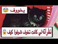 القط شيم ونظراته المرعبه 😱 وايش قصته ؟ وعلاجه في اقل من 25 يوم فقط 💙 | Mohamed Vlog