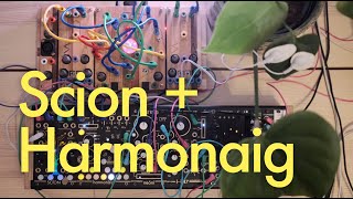 Scion + Harmonaig