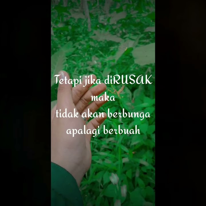 story WA.. kata-kata jawa-osing