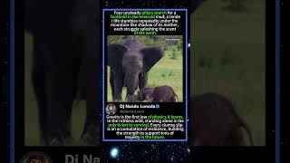 Wild Life Secrets