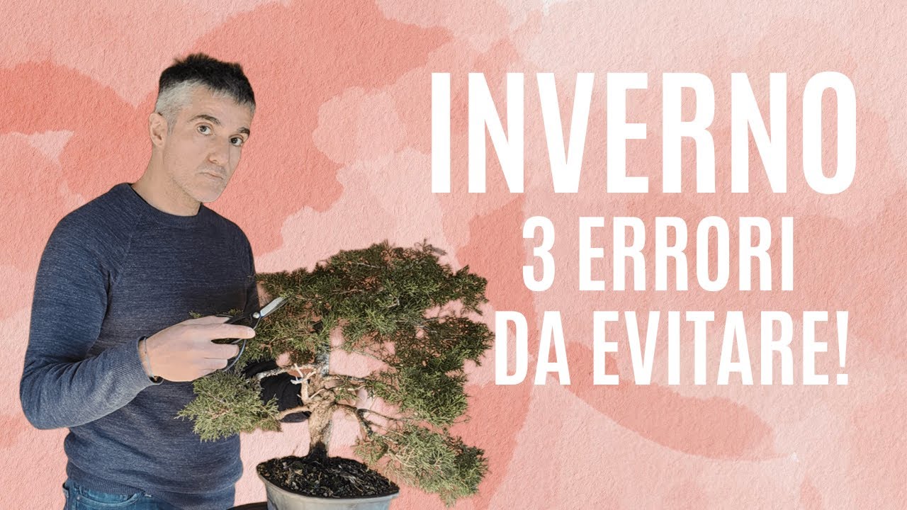 I TRE ERRORI nel BONSAI D'INVERNO