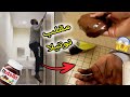 شاب يقوم بطلاء نوتيلا في يد الناس ✋ حسبوها شئ اخر 💩 😂 .. أخطر ردود الافعال 🔥