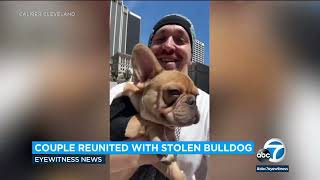 French bulldog stolen by food delivery driver reunited with its owners after 4 days