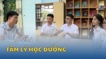 Tư vấn tâm lý học đường | THLC