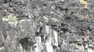 80 foot ass flop