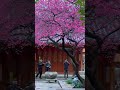 冬天来的时候你还在不在-薛池音_299