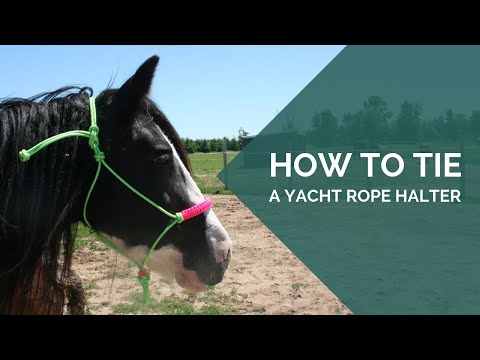 How to tie a rope halter full DIY