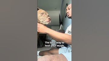 Any other creative-test ideas?