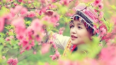 Nhạc Xuân Bất Hủ - Những Bản Nhạc Tết Dâng Trào Cảm Xúc Bao Thế Hệ Việt