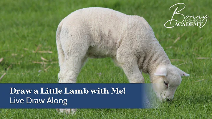 Live Draw Along | Drawing a Lamb in Coloured Pencils