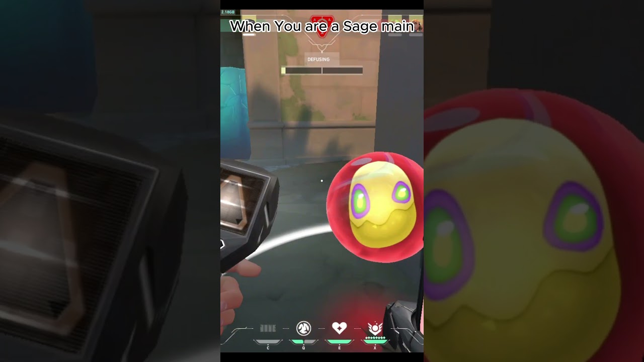 When You are a Sage main 