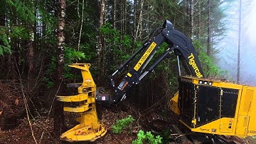Tigercat LX830D Feller Buncher in Oregon