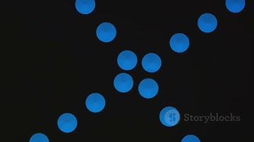 Scatter Plots
