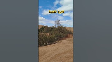 تلاوة خاشعة #اكسبلور #القرآن_الكريم #دويتو #المغرب #تيك_توك #duet #في #nature #راحة_نفسية #تصويري