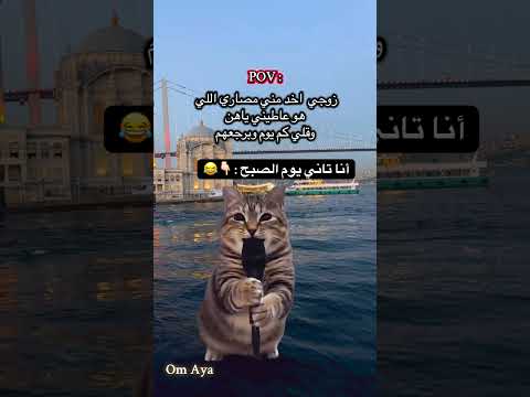 اكسبلور  قطط كوميديات ترند  دويتو    تركيا