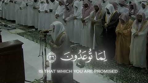 ياسر الدوسري سورة المؤمنون ♥️😔. #ياسر_الدوسري #quran #islamic_video #islam #قران_كريم #قران-كريم 