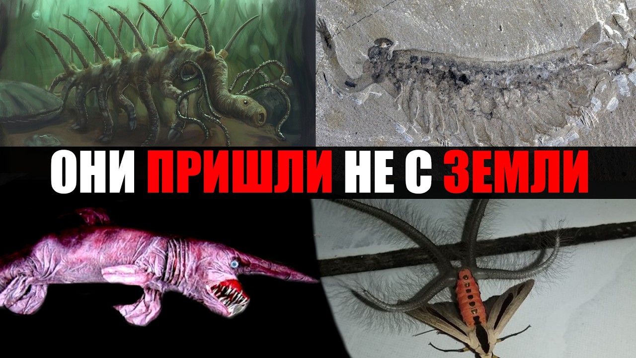 АЙСБЕРГ НЕЗЕМНЫХ СУЩЕСТВ