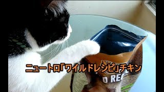 ニュートロ「ワイルドレシピ」猫！モモとナナの評判は？