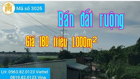 Bán đất ruộng mẫu lớn, giá 180 triệu 1.000m² ở Tân Thạnh, Long An - MS 3026