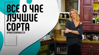 Роман с чаем! Лучшие сорта и обзор домашней коллекции | Мне это нравится! #101 (18+)