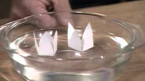 Make A Moving Paper Flower - Mr. Wizard's Everyday Magic