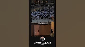 القارئ عبدالرحمن مسعد [ سورة النمل ]