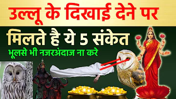 उल्लू के दिखाई देने पर मिलते है ये 5 संकेत नजरअंदाज ना करे | Vastu tips