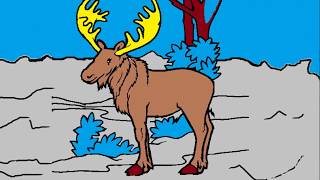 - El animal alce y sus sonidos animados -The animal moose and its animated sounds -
